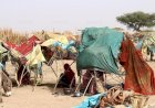 المرأة السودانية في زمن الحرب.. أدوار جديدة وسط الفوضى