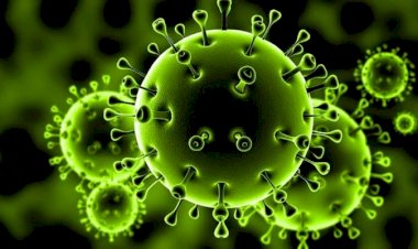 الصين وأميركا تدخلان سباقًا طبيًّا لاكتشاف لقاح 