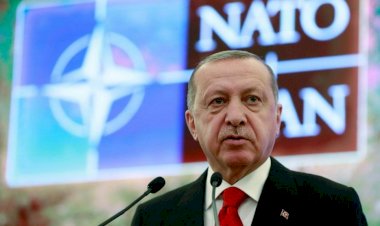 صَفْعَة جديدة لأردوغان ..