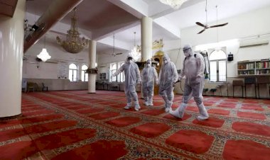 فَشَل مُخطَّطاتِ 