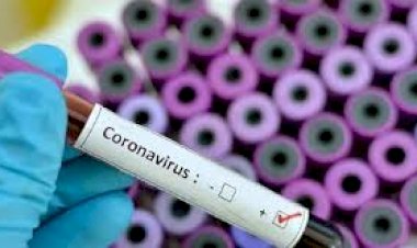 تناقضات وأكاذيب أبواق الإخوان حول