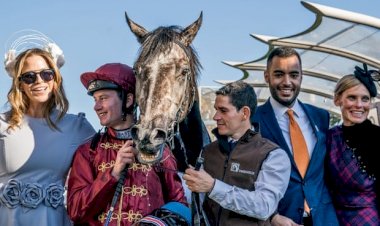 الجارديان: فرنسا تسحب من قطر رعاية سباقات الخيول.. وخسائر كبرى تنتظر الدوحة