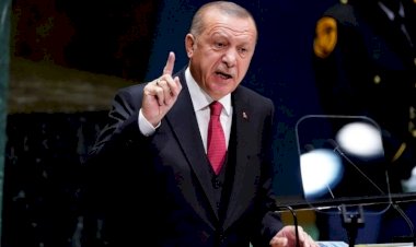 ابتزاز وسرقة وتشويه... هكذا استغل أردوغان اللاجئين السوريين