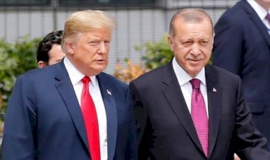 مع بداية الانتخابات الرئاسية الأميركية...