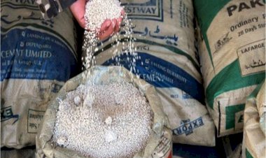 الداخلية الألمانية: حزب الله خزَّن مواد متفجرة في ألمانيا عام 2016