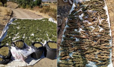 حصريّ.. تركيا تتجه لتمرير شحنات المخدرات لتوفير عجز الاقتصاد