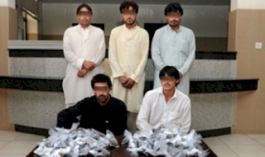 مافيا تميم.. 