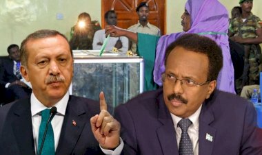 الاستثمارات التركية.. وسيلة «أردوغان» لإحكام قبضته على «فرماجو»