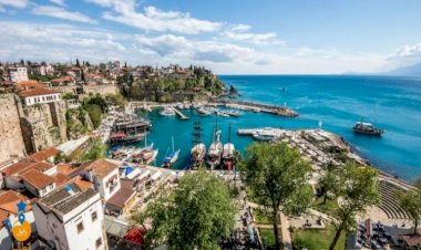 في صفقة مشبوهة.. 