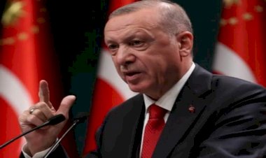 ميرال أكشنار لأردوغان: ألا تخجل، عار عليك..!