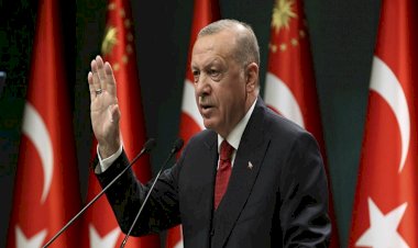 أردوغان يستعيد المرتزقة السوريين من ليبيا لاغتيال معارضيه في تركيا