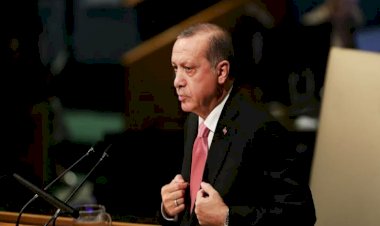 مخططات أردوغان لتنفيذ إبادة جماعية جديدة في جبل سنجار بالعراق