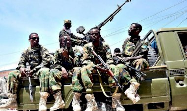 بين الانفلات الأمني وقتل الشعب.. تعرف على جرائم فرماجو للبقاء في السلطة