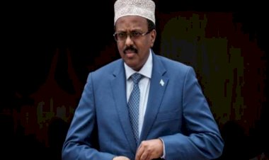 الانهيار أو الحرب الأهلية.. سياسي صومالي يكشف مستقبل نظام فرماجو