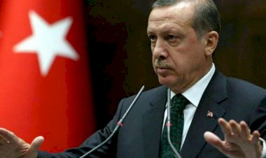 تمكين الإخوان ونشر الإرهاب.. كيف يخطط أردوغان للهيمنة على موريتانيا؟