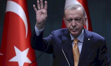 خبراء: أردوغان يتفاوض مع الإخوان في تركيا لتأسيس حزب رسمي يمثلهم