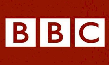 بي بي سي البريطانية تشوه المجتمع الخليجي وتتغافل عن عنصرية قصر بيكنغهام