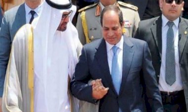 لقاءات الإخوة.. السيسي وولي عهد أبو ظبي يدًا بيد ضد تهديد المنطقة