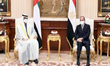 مصر والإمارات.. تعاون اقتصادي وعسكري استثنائي فريد من نوعه عربيًا