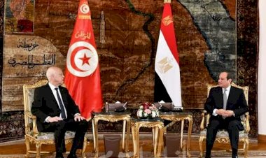 أثنت على زيارة قيس للقاهرة..  محللة تونسية: انتظرنا هذه الخطوة ونتطلع لمخرجاتها