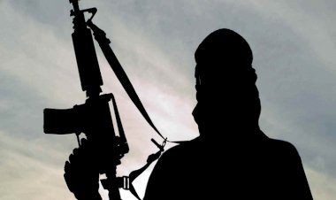 الإسلام والمتأسلمون.. خلط مفاهيم يتوجب اعتذار أوروبا للمسلمين