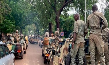كيف سعى إخوان الجزائر لاستغلال الانقلاب في مالي؟