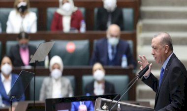 زعيم المافيا التركية أرسل لأردوغان رسائل مبطنة .. ما هي؟