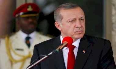 مظاهرات الإخوان الهاربين.. هل دفع بهم أردوغان لمهاجمة مصر؟