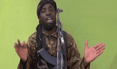 أكثر الإرهابيين وحشية بالعالم.. مَن هو شيكاو زعيم بوكو حرام الذي قُتل؟