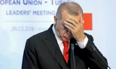 بالتزامن مع الحديث عن تغيير وزاري في تركيا.. عودة ظهور صهر أردوغان المختفي