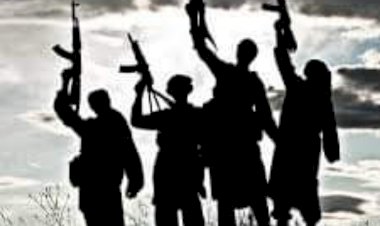 حزب الله .. حزب إيران أم مقصلة تعذيب للشعب اللبناني؟