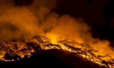 مظاهرة في قاضي كوي بإسطنبول: 