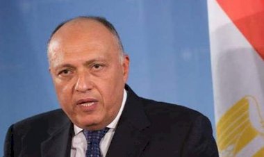 سامح شكري.. أسد الخارجية المصرية لماذا يهاجمه الإخوان؟