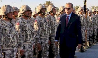 لاستغلال الشباب في ليبيا.. ماذا يريد أردوغان من السودان