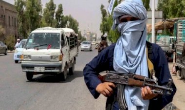 انطلاقًا من ليبيا واليمن.. مصادر تكشف تحركات داخل تنظيم الإخوان لإعلان الولاء لطالبان