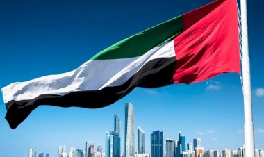 دعم واسع لترشح الإمارات بمجلس حقوق الإنسان.. خبير: أبوظبي عززت طريق الإنسانية