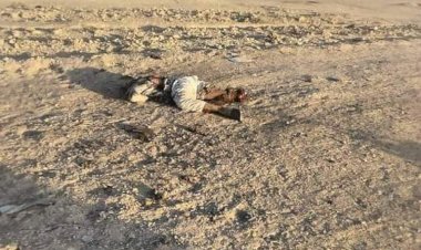 أميركا تعلن مقتل الإرهابي عبد الحميد المطر.. من هو صاحب عملية تل السمن؟