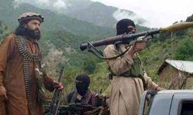 خبير: الدوحة ما زالت توفر الملاذ الآمِن لتنظيمَي القاعدة و داعش