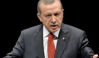 نورديك مونيتور: حلفاء أردوغان يهددون بمهاجمة السفراء الأميركيين والغربيين في تركيا