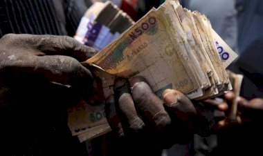 هل تؤثر أزمة أوكرانيا على الأوضاع الاقتصادية في إفريقيا