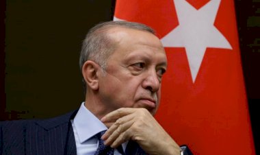جرائم أردوغان.. ارتفاع قياسي في العنف ضد المرأة وقوانين تحمي الجناة