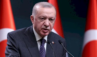 لماذا يصر أردوغان على منع فنلندا والسويد من الانضمام للناتو؟