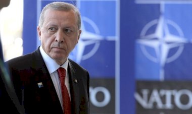 نورديك مونيتور تكشف براغماتية أردوغان واستغلاله لقضية السويد وفنلندا في الناتو