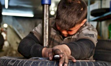 ضحايا الأزمات.. خطط أممية لإنقاذ أطفال الأردن من الاستغلال الاقتصادي