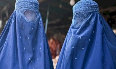 واشنطن بوست:  كيف أصدرت طالبان حكمًا جماعيًّا بسجن الأفغانيات مدى الحياة؟