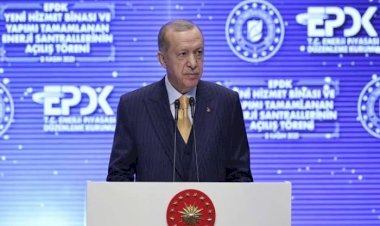 فساد أردوغان يصل للبيئة.. إزالة جائرة للغابات وتشويه المحميات الطبيعية