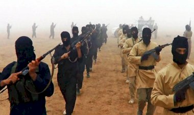 تنظيم داعش يستغل تداعيات الزلزال لتنفيذ عمليات في تركيا.. ما التفاصيل؟