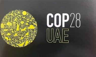 قبل COP 28.. دبي الأولى عالمياً في النظافة