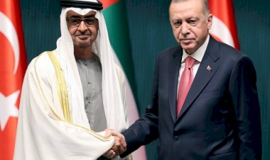 توازنات دولية.. ما أهداف التقارب التركي الإماراتي؟