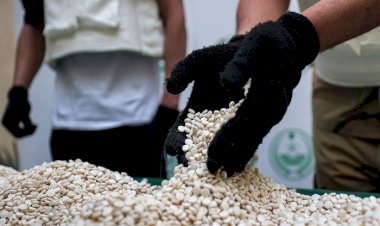 بعد فشل مخطط الحرب الأهلية والفوضى.. هل يلجأ حزب الله للمخدرات لإسقاط سوريا؟